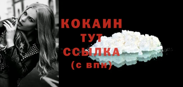 тгк Алексин