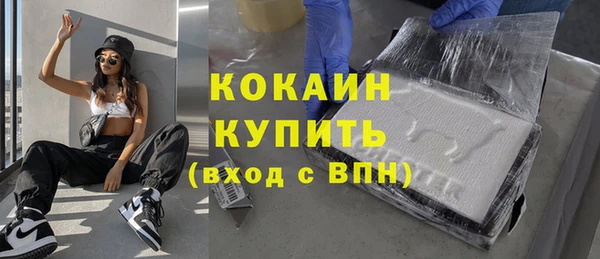 тгк Алексин