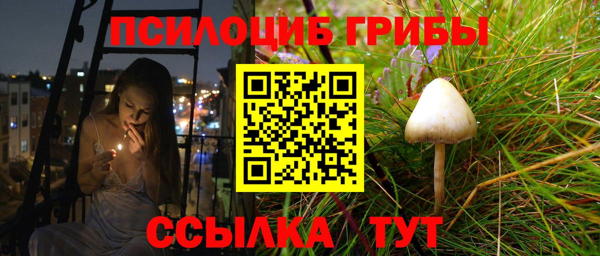 Псилоцибиновые грибы мухоморы Пушкино