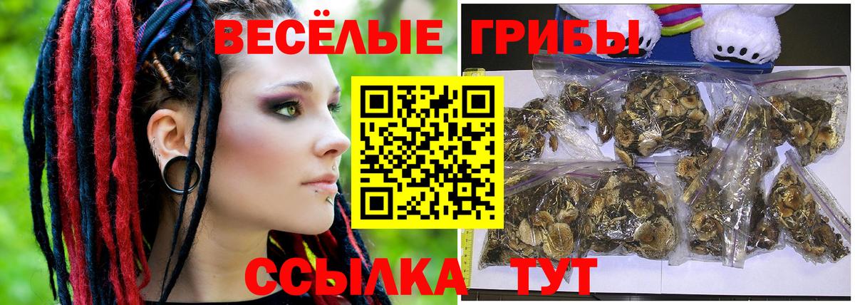 Галлюциногенные грибы прущие грибы  Вход с VPN  цены   Пушкино 